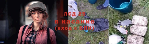 стаф Волосово