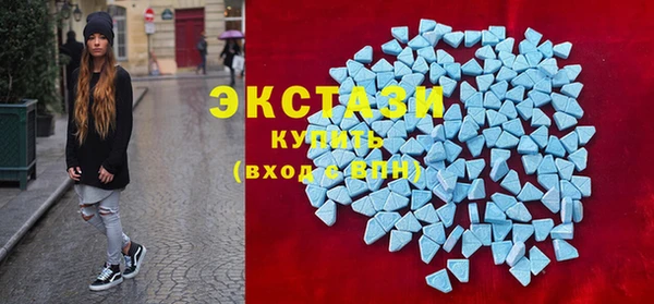 сатива Верея