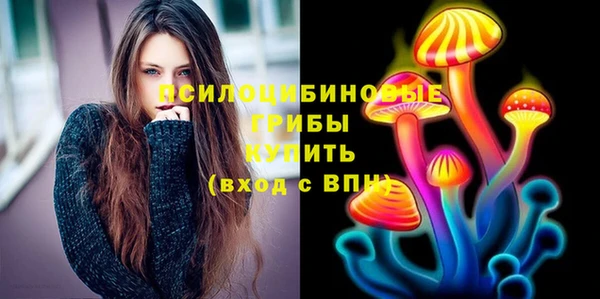 мяу мяу мука Тавда
