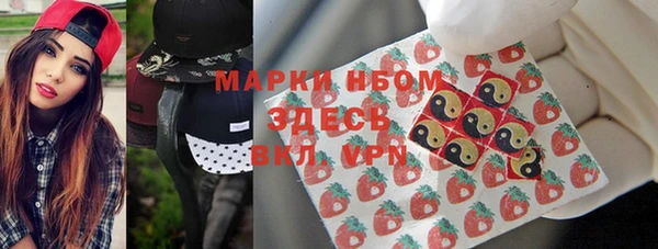 стаф Волосово